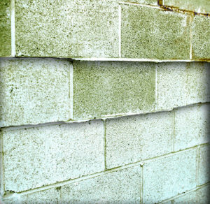 Cracked cement block basement wall.