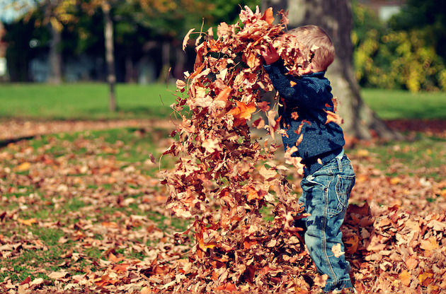 Child playing in fallen leaves is a sure sign it's autumn!